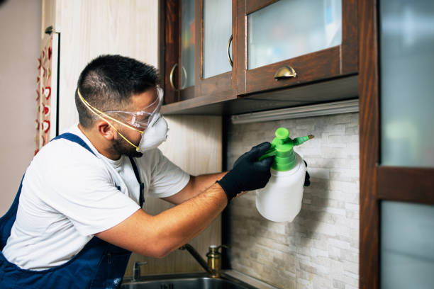 Best Termite Control Services  in Doolittle, TX