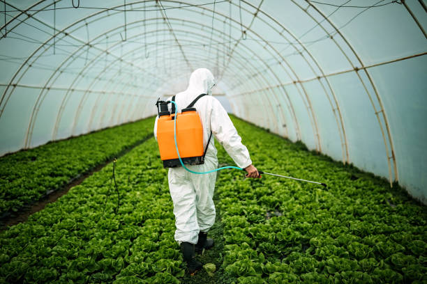 Best Mosquito Control Services  in Doolittle, TX