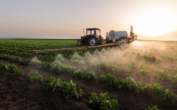 Best Best Pest Control Companies  in Doolittle, TX