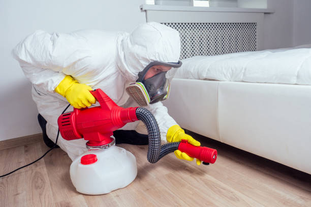 Best Rat Extermination Near Me  in Doolittle, TX