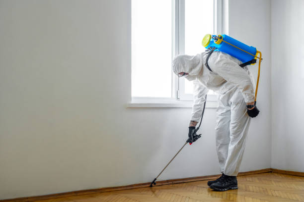 Best Residential Pest Control  in Doolittle, TX