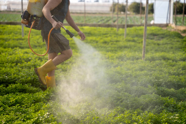 Best Affordable Pest Control Services  in Doolittle, TX