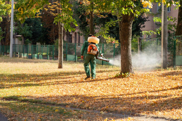 Best Wildlife Control Services  in Doolittle, TX