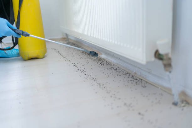 Pest Control Cost in Doolittle, TX