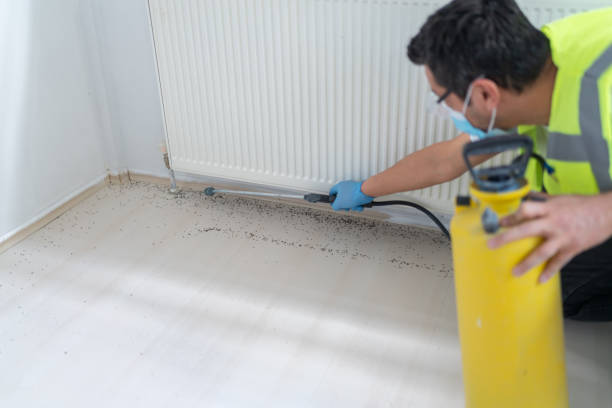 Best Best Pest Control Companies  in Doolittle, TX