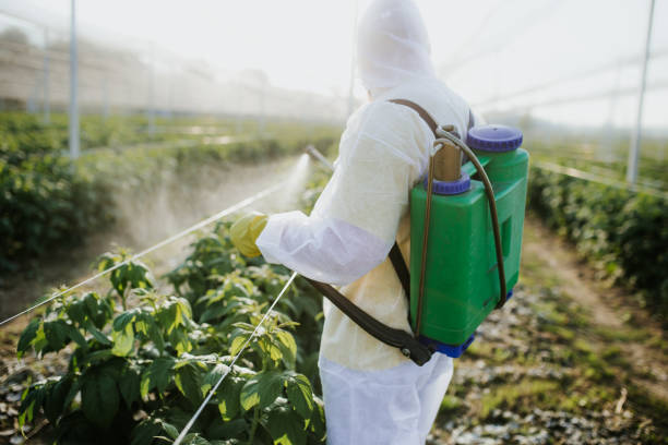 Best Bed Bug Extermination  in Doolittle, TX